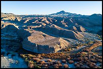 Aerial view of riparian area and hills, Afton Canyon. Mojave Trails National Monument, California, USA ( color)