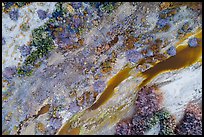 Aerial view of Mojave River looking down, Afton Canyon. Mojave Trails National Monument, California, USA ( color)