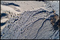 Aerial view of river wash, Afton Canyon. Mojave Trails National Monument, California, USA ( color)