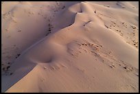 Aerial view of dune close-up, Cadiz Dunes. Mojave Trails National Monument, California, USA ( color)