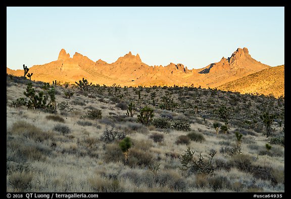 Castle Peaks at sunrise. Castle Mountains National Monument, California, USA (color)