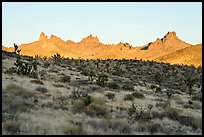 Castle Peaks at sunrise. Castle Mountains National Monument, California, USA ( color)