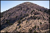 Castle Mountains peak with juniper trees. Castle Mountains National Monument, California, USA ( color)