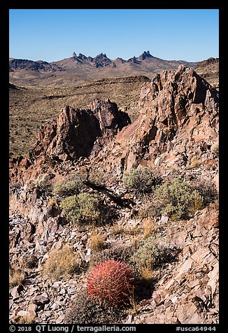 Looking at Castle Peaks from Castle Mountains. Castle Mountains National Monument, California, USA