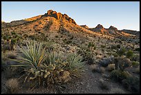 Castle Mountains, sunset. Castle Mountains National Monument, California, USA ( color)