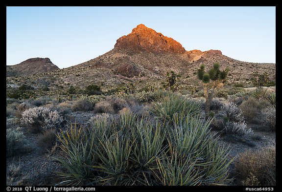 Hart Peak, sunset. Castle Mountains National Monument, California, USA (color)