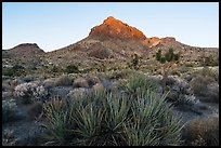 Hart Peak, sunset. Castle Mountains National Monument, California, USA ( color)