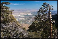 Coachella Valley seen from Mountain Station. Santa Rosa and San Jacinto Mountains National Monument, California, USA ( color)