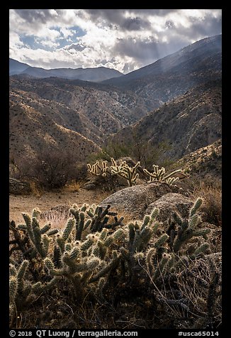 Santa Rosa Wilderness. Santa Rosa and San Jacinto Mountains National Monument, California, USA (color)