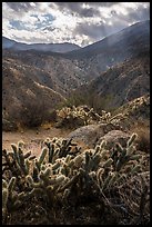 Santa Rosa Wilderness. Santa Rosa and San Jacinto Mountains National Monument, California, USA ( color)