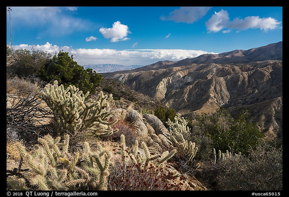 Deep Canyon from Santa Rosa Wilderness. Santa Rosa and San Jacinto Mountains National Monument, California, USA (color)