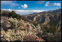 Deep Canyon from Santa Rosa Wilderness. Santa Rosa and San Jacinto Mountains National Monument, California, USA ( color)