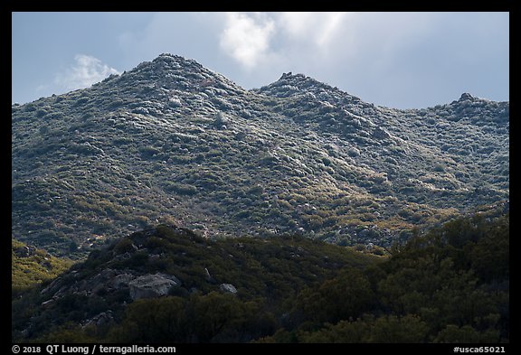 Ridge with fresh snow, Santa Rosa Mountains. Santa Rosa and San Jacinto Mountains National Monument, California, USA (color)