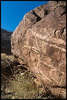 Striated boulder, Tahquitz Canyon, Palm Springs. Santa Rosa and San Jacinto Mountains National Monument, California, USA ( color)