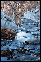 Creek below Tahquitz Falls, Tahquitz Canyon, Palm Springs. Santa Rosa and San Jacinto Mountains National Monument, California, USA ( color)