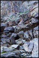 Boulders on slope, Tahquitz Canyon, Palm Springs. Santa Rosa and San Jacinto Mountains National Monument, California, USA ( color)