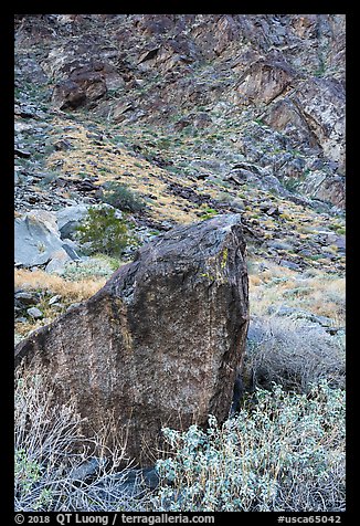 Boulder and canyon slope, Tahquitz Canyon, Palm Springs. Santa Rosa and San Jacinto Mountains National Monument, California, USA (color)