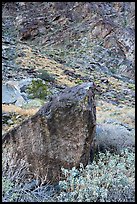 Boulder and canyon slope, Tahquitz Canyon, Palm Springs. Santa Rosa and San Jacinto Mountains National Monument, California, USA ( color)