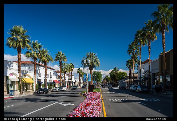 El Paseo Street, main street of Palm Desert. California, USA (color)