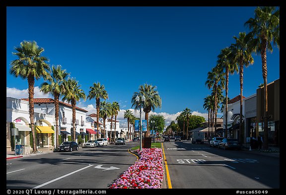 Picture/Photo: El Paseo Street, main street of Palm Desert