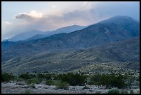 San Jacinto Mountains at sunset from Indian Canyons. Santa Rosa and San Jacinto Mountains National Monument, California, USA ( color)