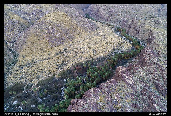 Aerial view of canyon with palm trees. Santa Rosa and San Jacinto Mountains National Monument, California, USA (color)