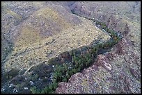 Aerial view of canyon with palm trees. Santa Rosa and San Jacinto Mountains National Monument, California, USA ( color)