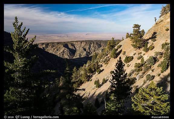 Looking towards the Mojave Desert from the crest. San Gabriel Mountains National Monument, California, USA (color)