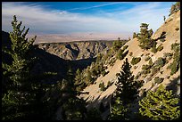 Looking towards the Mojave Desert from the crest. San Gabriel Mountains National Monument, California, USA ( color)