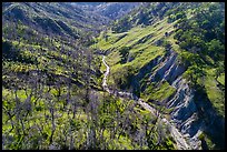 Aerial view of bluff and creek, Cache Creek Wilderness. Berryessa Snow Mountain National Monument, California, USA ( color)