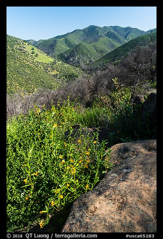 Stebbins Cold Canyon Reserve, Putah Creek Wildlife Area. Berryessa Snow Mountain National Monument, California, USA (color)