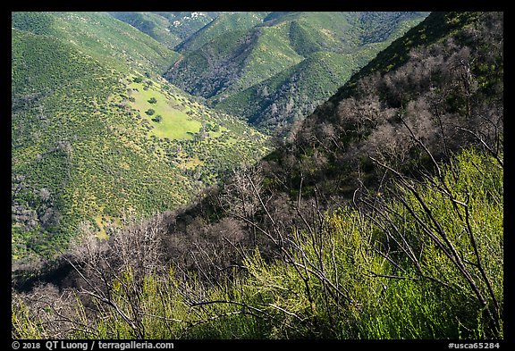 Hills, Stebbins Cold Canyon Reserve, Putah Creek Wildlife Area. Berryessa Snow Mountain National Monument, California, USA (color)