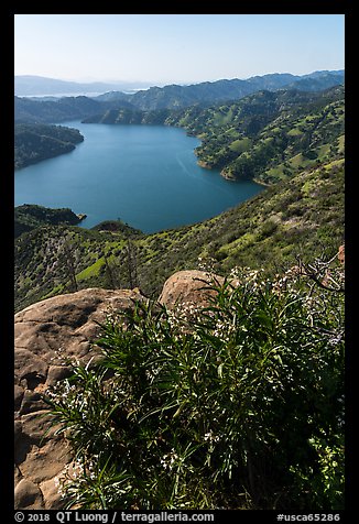 Ridgeline view of spring wildflowers above Lake Berryessa. Berryessa Snow Mountain National Monument, California, USA (color)