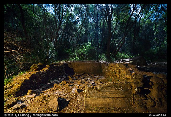 Old Homestead site, Stebbins Cold Canyon Reserve. Berryessa Snow Mountain National Monument, California, USA (color)