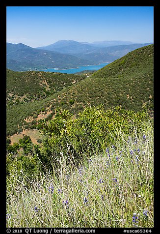 Wildflowers, Indian Springs Reservoir, and Snow Mountain. Berryessa Snow Mountain National Monument, California, USA (color)