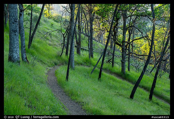 Red Bud Trail curve, Cache Creek Wilderness. Berryessa Snow Mountain National Monument, California, USA (color)