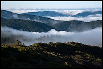 Pictures of Berryessa Snow Mountain National Monument