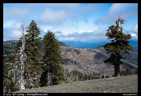 View north from saddle between Snow Mountain summits. Berryessa Snow Mountain National Monument, California, USA