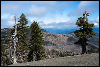 View north from saddle between Snow Mountain summits. Berryessa Snow Mountain National Monument, California, USA ( color)