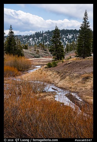 Stream bordered by shrubs with autumn color, Snow Mountain. Berryessa Snow Mountain National Monument, California, USA (color)