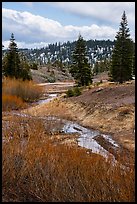 Stream bordered by shrubs with autumn color, Snow Mountain. Berryessa Snow Mountain National Monument, California, USA ( color)