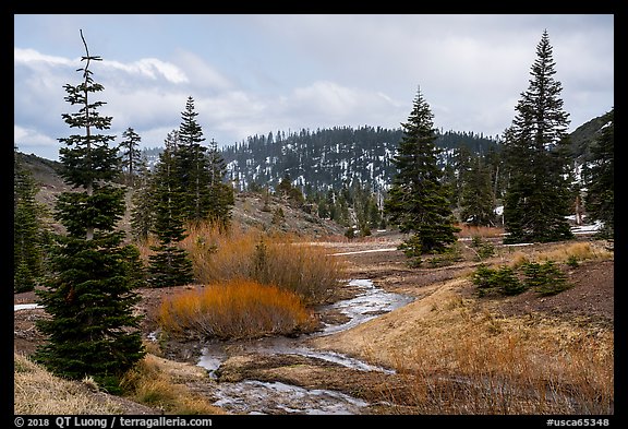 Stream and meadow in early spring with autumn color remnants, Snow Mountain. Berryessa Snow Mountain National Monument, California, USA (color)
