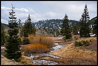 Stream and meadow in early spring with autumn color remnants, Snow Mountain. Berryessa Snow Mountain National Monument, California, USA ( color)