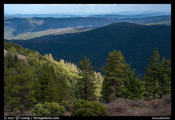 Forested ridges, Snow Mountain Wilderness. Berryessa Snow Mountain National Monument, California, USA (color)