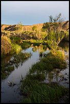 Mojave River crossing at sunrise. Mojave Trails National Monument, California, USA ( color)