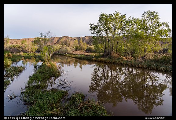 Track flooded by Mojave River, Afton Canyon. Mojave Trails National Monument, California, USA (color)