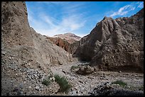 Desert wash in badlands, Afton Canyon. Mojave Trails National Monument, California, USA ( color)