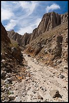 Wash in narrow side canyon, Afton Canyon. Mojave Trails National Monument, California, USA ( color)