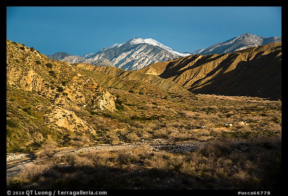 Snowy San Giorgono Mountain, Mission Creek Preserve. Sand to Snow National Monument, California, USA (color)