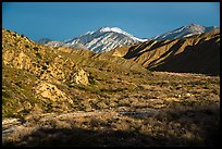 Snowy San Giorgono Mountain, Mission Creek Preserve. Sand to Snow National Monument, California, USA ( color)